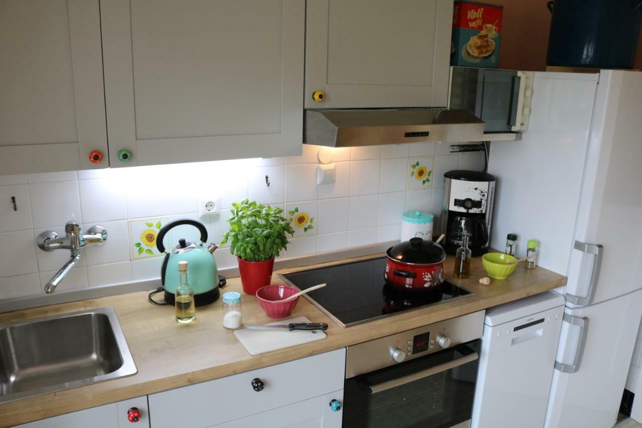 Gogalova Apartment Lublaň Exteriér fotografie